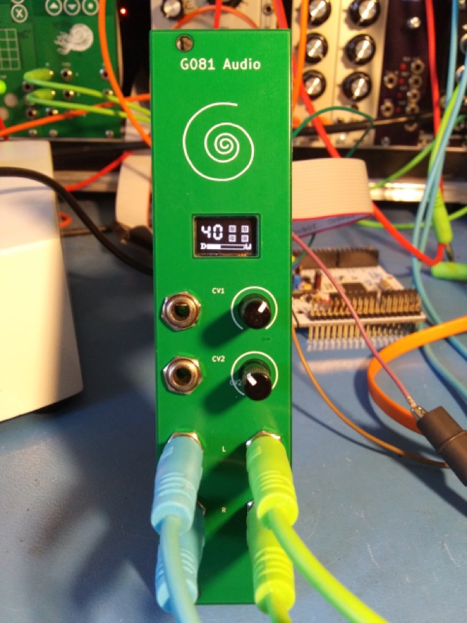 G081 Audio module