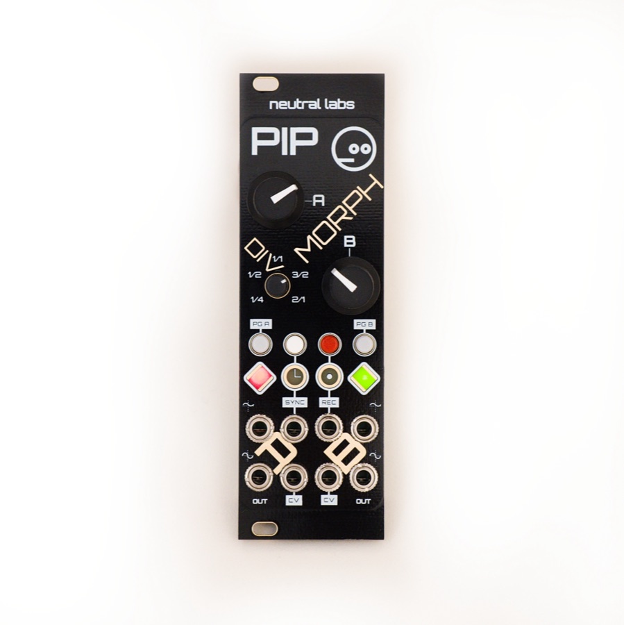 Pip panel