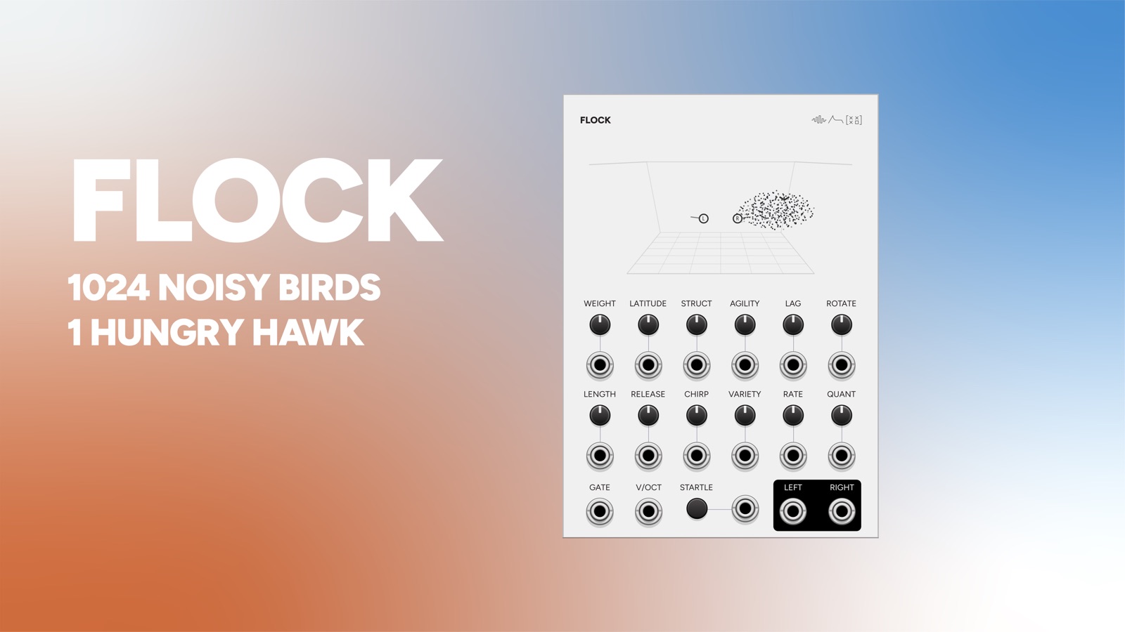 Flock title card: the module name over the line 1024 noisy birds, 1 hungry hawk, with the panel alongside showing the flock drawn in perspective